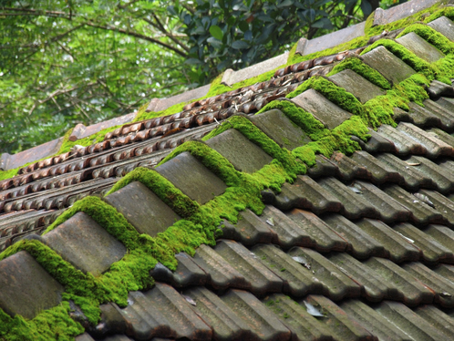 Démoussage de toiture dans l'Hérault